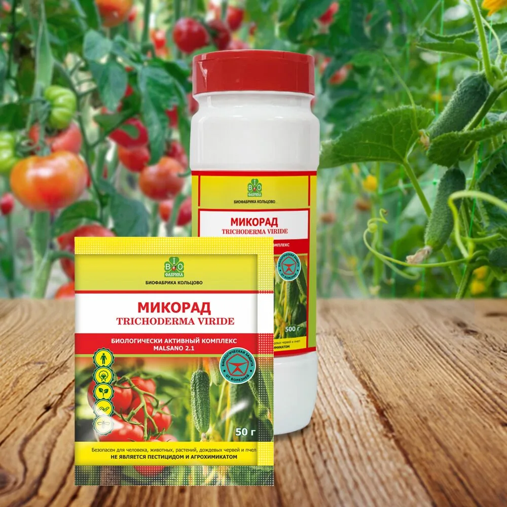 mikorad malsano2 1 mikorad malsano2 1