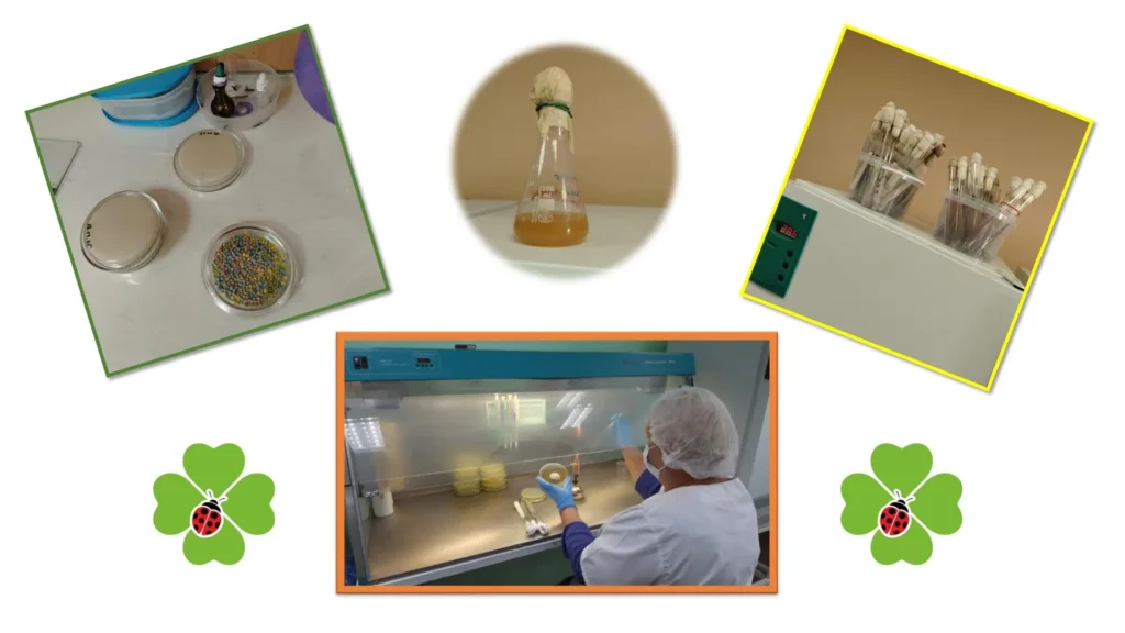 О компании proizvodstvo 2 596215